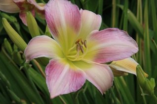 Full Download An Assortment of worded candies-VI (POETIC WORDS FROM BEYOND Book 15) - Shishir Gupta | PDF