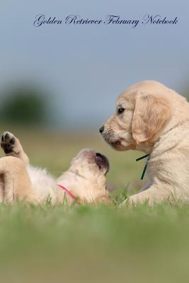 Full Download Golden Retriever February Notebook Golden Retriever Record, Log, Diary, Special Memories, To Do List, Academic Notepad, Scrapbook & More - Retriever World | ePub