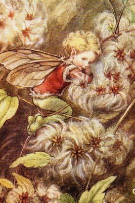 Download Journal: The Old Man's Beard Fairy by Cicely Mary Barker -  file in ePub