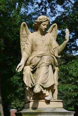 Read A Moss Covered Sculpture of a Guardian Angel in Poland Journal: 150 Page Lined Notebook/Diary -  | ePub