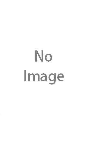 Full Download Khubilai Khan's Lost Fleet: In Search of a Legendary Armada - James P. Delgado file in PDF