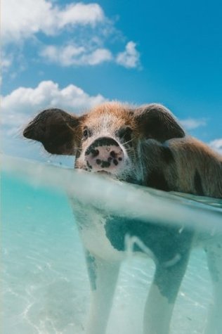 Download Cute Swimming Caribbean Pig: 150 page lined 6 x 9 notebook/diary/journal - Jl Designs file in ePub