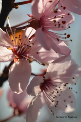 Full Download Composition Notebook: Japanese Blossom Floral Lined Notebook for Journaling for Work or School or Memories - Natasha B Canary file in PDF