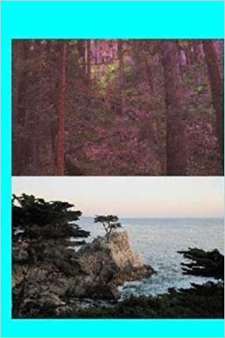 Read The Woods Duo: In the Woods / Out of the Woods - Dawn M. Hyde file in PDF