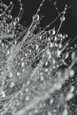 Full Download Notizbuch: Notebook oder Journal Trauer Gothic Dark Wave Mystery Punk Schwarz Metal - Blackpublish | PDF